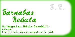 barnabas nekula business card